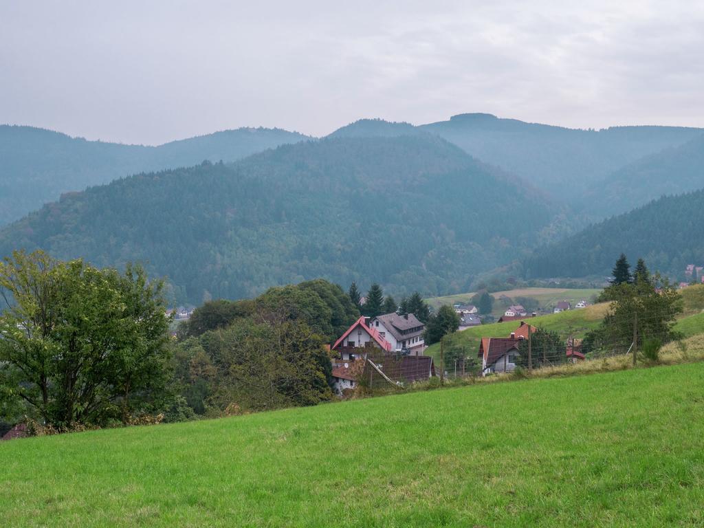 Quaint Apartment In Buhlertal With Private Garden Exterior foto